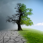 Clima: cambiare si può!