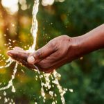 Il cammino “giustizia e pace” guarda all'ambiente