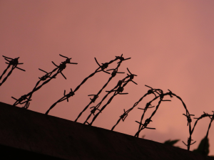 Conflitto, guerra, libertà