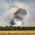 Cop 30: il peso delle non-scelte