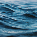 Sulla rotta dei dimenticati