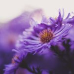 Uscire per attraversare