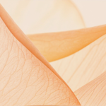 Laboratorio di arte floreale per la liturgia