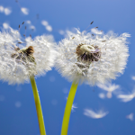 Prima di plasmarti ti ho amato