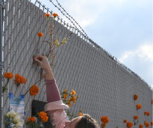 Resistenza o resa?