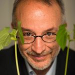 Volto dell’altro, volto della vita